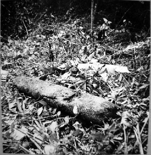 Monument 6, plain round column. Found at about 80 m South of main Plaza