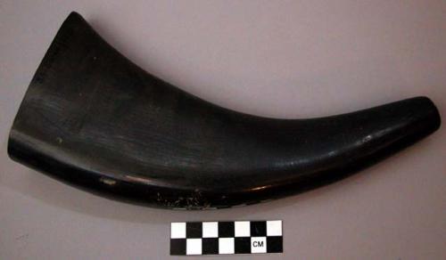 Buffalo horn used by shamans for exorcising demons