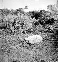 Plain stela found on plaza NW of mound B