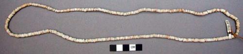 String of shell beads