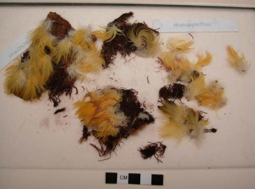 Miniature textile, feathered