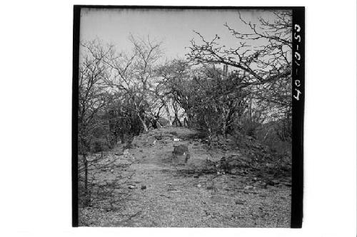 Stela west side of structure east of Structure #1