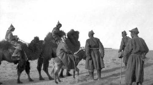 Men, some riding camels and pony