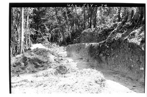 B-V: looking N. at W. wall and terrace of W. side of Ball Court after excavation