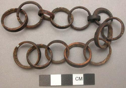 Chain of circular links of bone