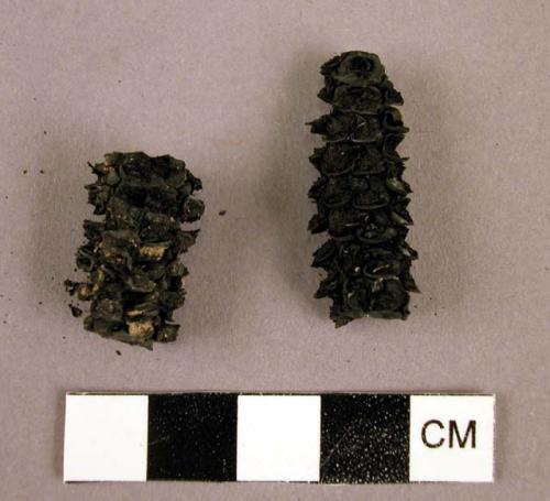 Corn cob fragments