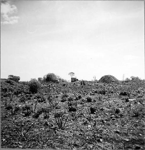 View of site from southwest; left to right, Md 2 with cistern 1, Casa 2, church,