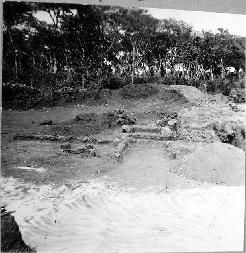 View of late lines of stone and roads in Tazumal Park