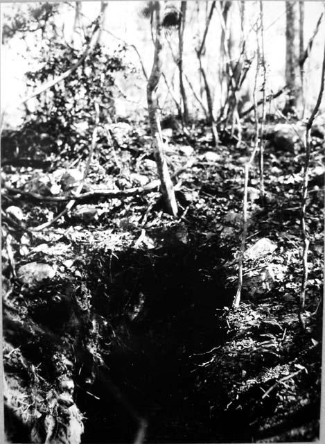 Str. 4, trench 3, looking W. down trench