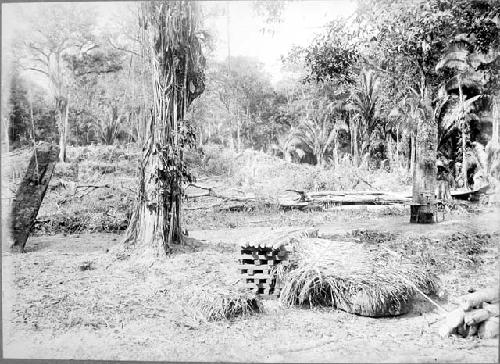 View showing manner of protection of Monuments from falling trees while clearing