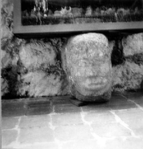 Sculptured human stone head. 50 cm. high. Concluclita stone. Found in Champoton.