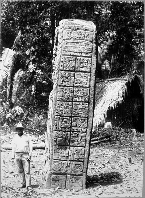 Stela A, right and east side, after cleaning