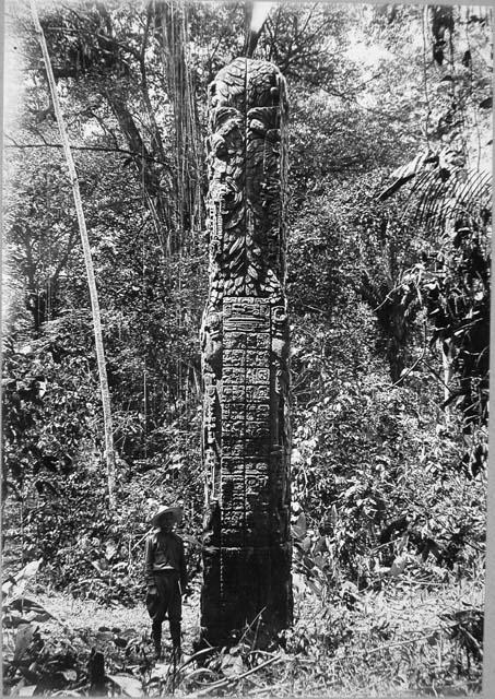 Stela F, east side, showing Stela E in background