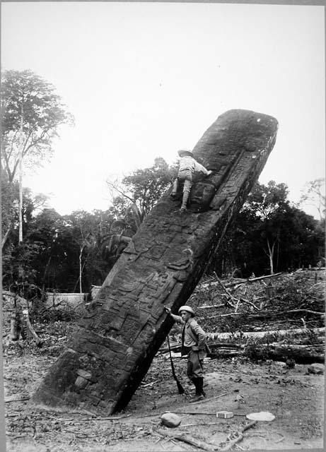 Stela E, front