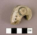 Sherd-effigy head (black/white)