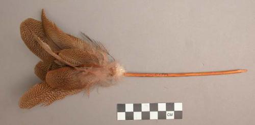 Guarru of native "turkey" feathers