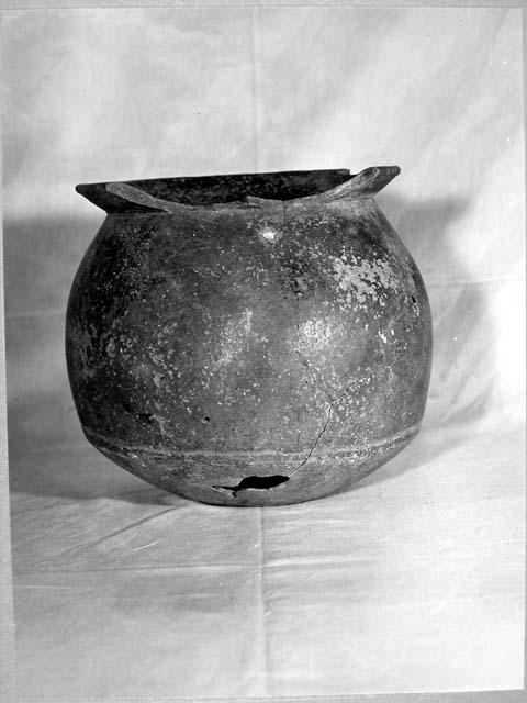 Lustrously polished brown ware jar, Lot F-10.  Purchased by Shook in Campeche.