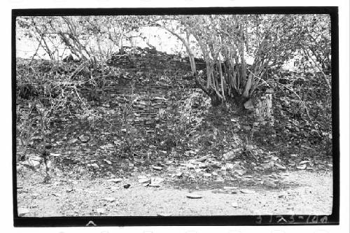 Mound east of Ball Court at Comitancillo