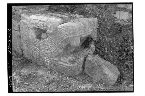 Serpent head - of south Serpent Column