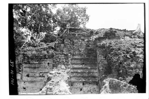 Looking east at the vault in Room 2 in Structures E-X