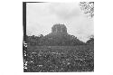 Looking west at the Temple of the Conde