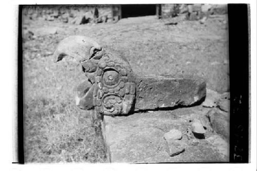 Parrot's head before repair, Ball court 3