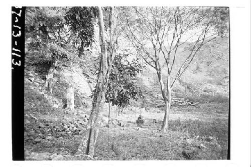 General view of West Court and Stela P