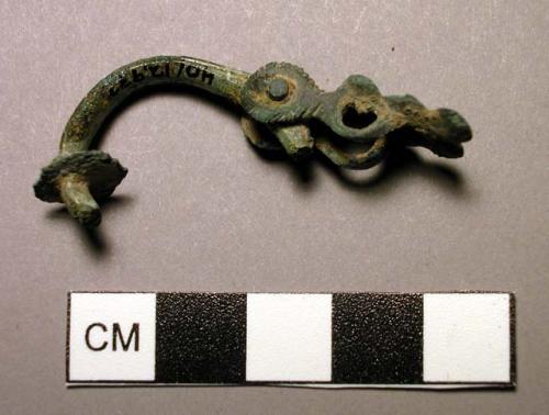 Fibula, dragon