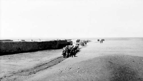 Caravan of camels through desert near wall