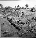 Looking West along first excavations of South side.