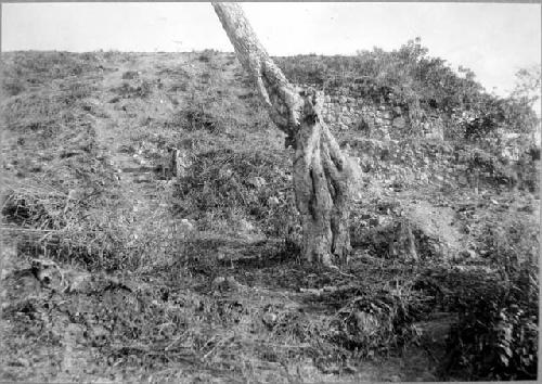 Mound 2 - Trench E before work began