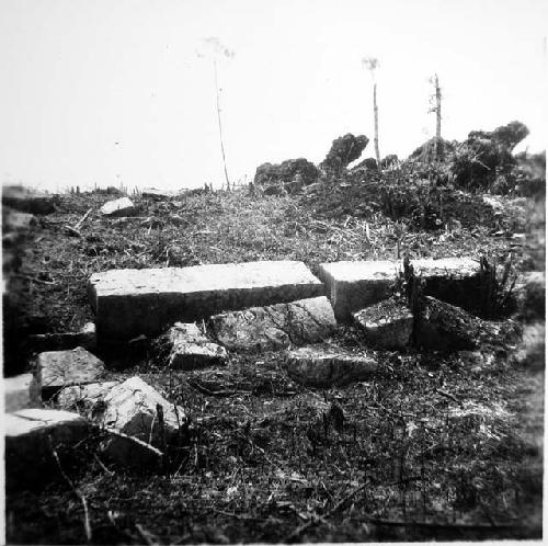 Large, well cut stones used in Terrace on east side of court.