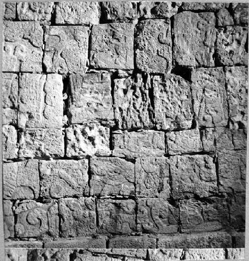 2D1. North Temple. Upper row of overlapping negatives of N wall.