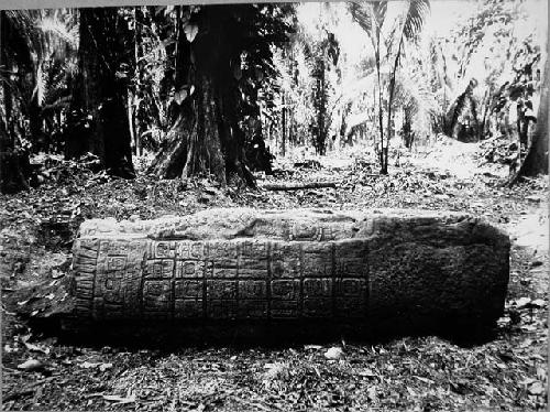 Stela I, left side