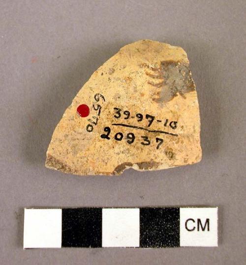 Zoomorphic potsherd