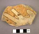 Zoomorphic base of stipple pottery bowl showing part of human hand, jeddito blac