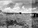 Panorama (10 pictures-360 [degrees]) of Main Group of ruins and outlying mounds,