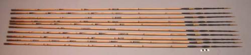 Fighting arrows - bamboo shafts; palm wood points with barbs, carved +