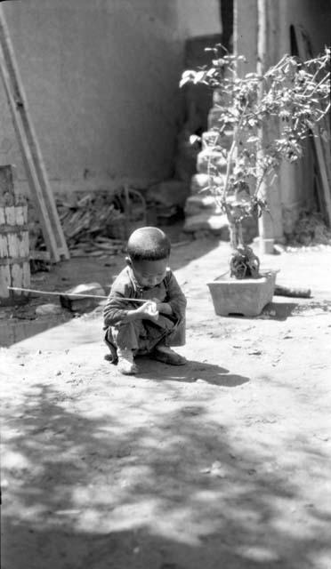 Child crouching near potted plant by wall