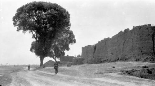 People walking by trees by wall