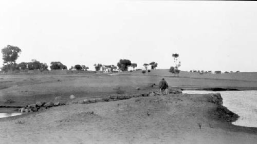 View of water and trees