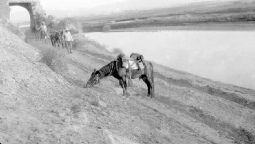 People with ponies approaching a pony grazing next to the Yellow River at Sheng Jin Guan checkpoint on the Great Wall