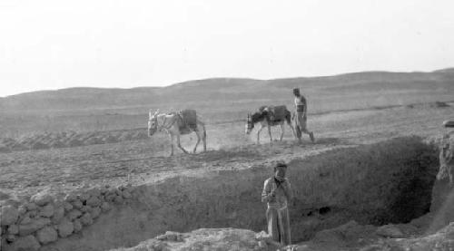 People and donkeys in desert