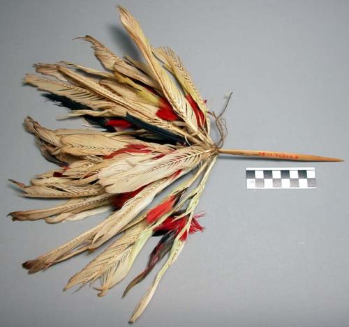 Cockatoo feather head decoration - attached to string