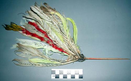 Head ornament of cockatoo (lory) feathers - used in dances