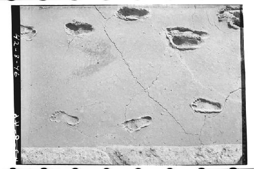 Footprints