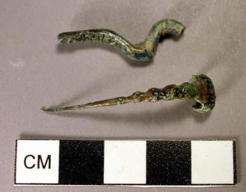 Fibula