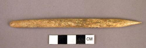 Worked bone (awl?)