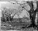 Iglesia (modern) - April 16 - showing effects of hail storm.