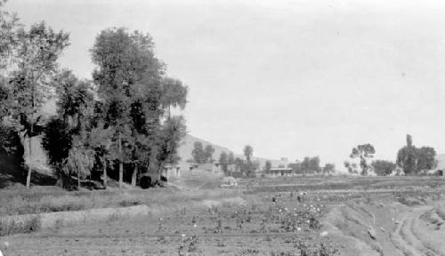 Buildings and trees near field